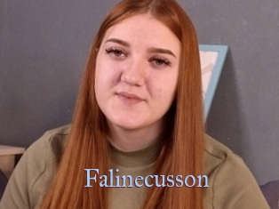 Falinecusson