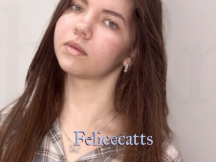 Felicecatts