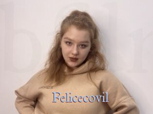 Felicecovil