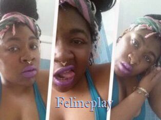 Felineplay