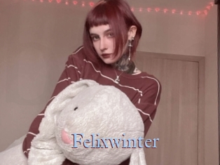Felixwinter