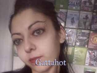 Gattahot