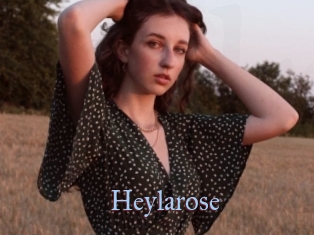 Heylarose