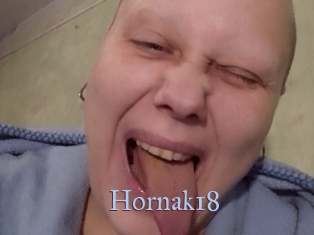 Hornak18