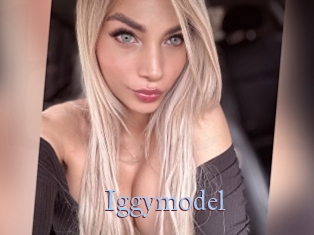 Iggymodel