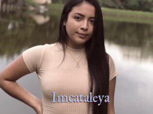 Imcataleya