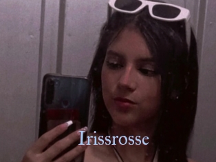 Irissrosse