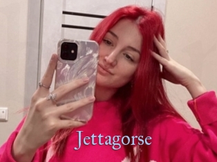 Jettagorse