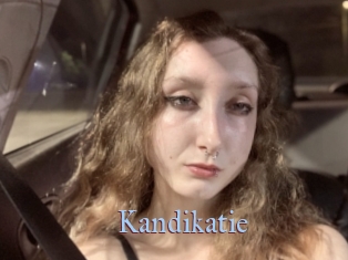 Kandikatie