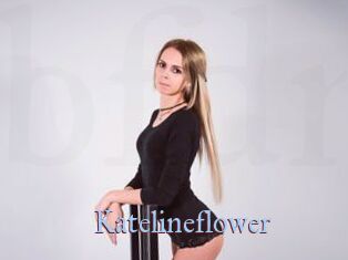 Katelineflower