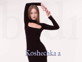 Koshechka_a