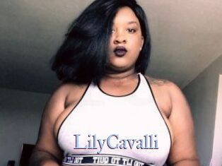 Lily_Cavalli