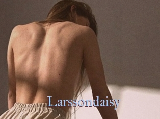 Larssondaisy