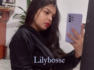 Lilybosse