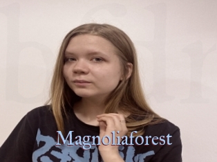 Magnoliaforest