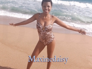 Maxinedaisy