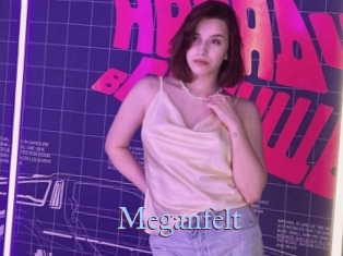 Meganfelt