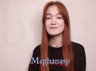 Meghanasp