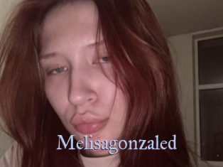 Melisagonzaled