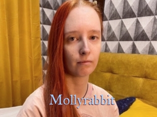 Mollyrabbit