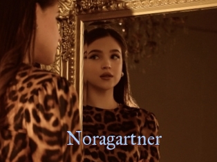 Noragartner