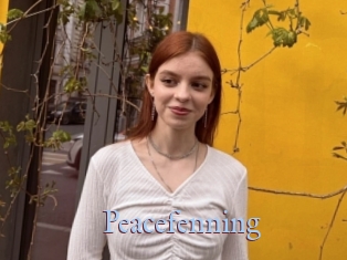 Peacefenning