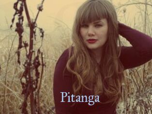 Pitanga