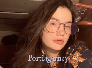 Portiagarney