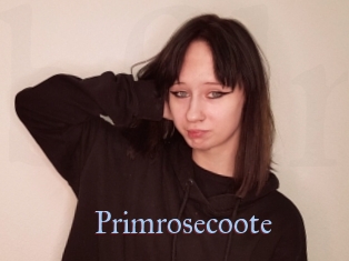 Primrosecoote