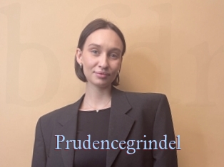 Prudencegrindel