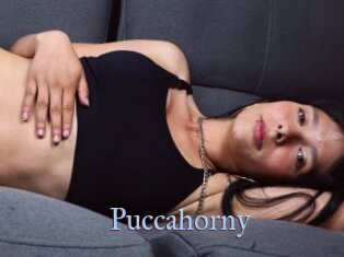 Puccahorny