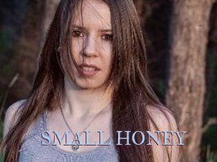 SMALL_HONEY