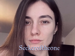 Seekeroftheone