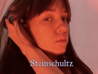 Steinschultz