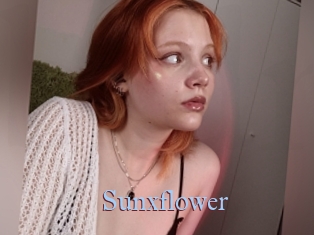 Sunxflower