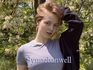 Synnebanwell