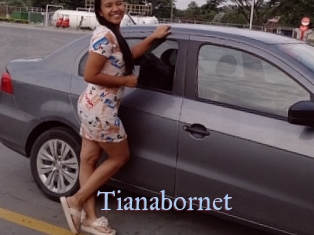 Tianabornet