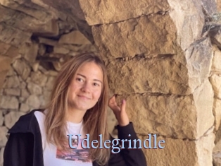 Udelegrindle