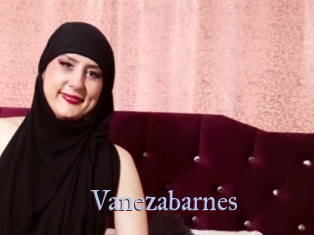 Vanezabarnes