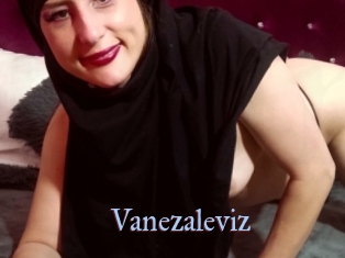 Vanezaleviz