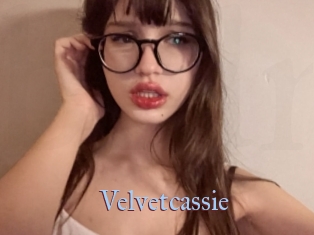 Velvetcassie