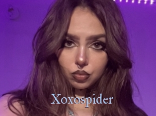 xoxospider Belles filles du net