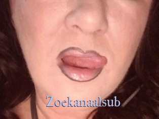 Zoekanaalsub